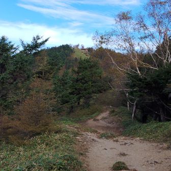 山頂の小屋が見えてきた！