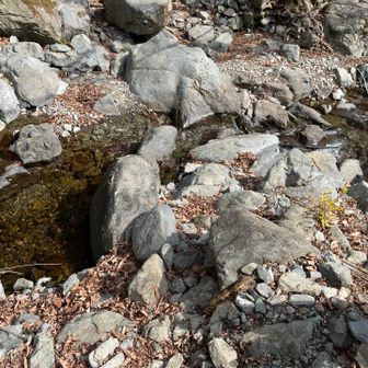 沢に来るとテンション上がります