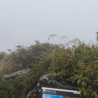 平成新山が見えるはず😅
しばらく晴れ間を待ったけど、気配なしで下山