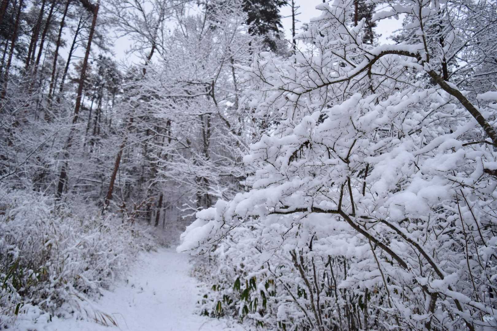 そんな寒くはない