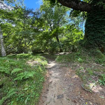 折立登山口からのスタート。

有峰有料道路は1時間雨量30mm以上または24時間雨量80mm以上に達した場合に通行止めになってしまうので、前日の雨量が心配でした。何とか規制にはかからず通行できました✌。しかも，終日雨予報が、青空スタート！
折立登山口から初日宿泊予定の太郎平小屋を目指して出発。