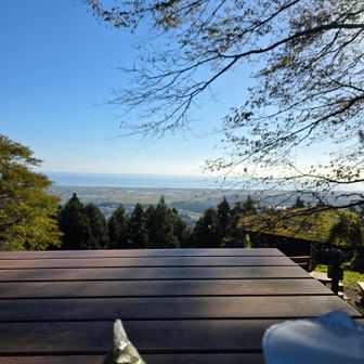 海を見ながら朝ごはん。冷えた体に味噌汁がしみる
