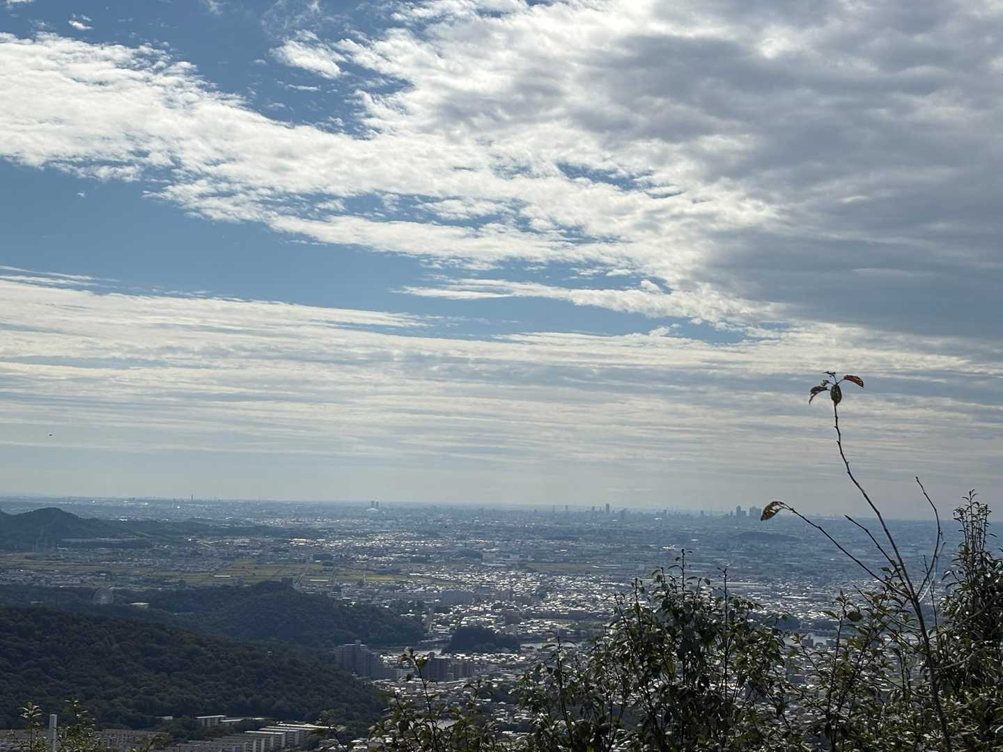 迫間不動-金比羅山登山口-金比羅山-迫間山 往復コースの写真