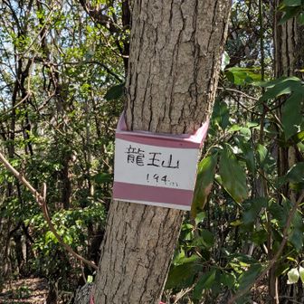 今回は遠征せず戸山城跡方面へ向かいまさ

