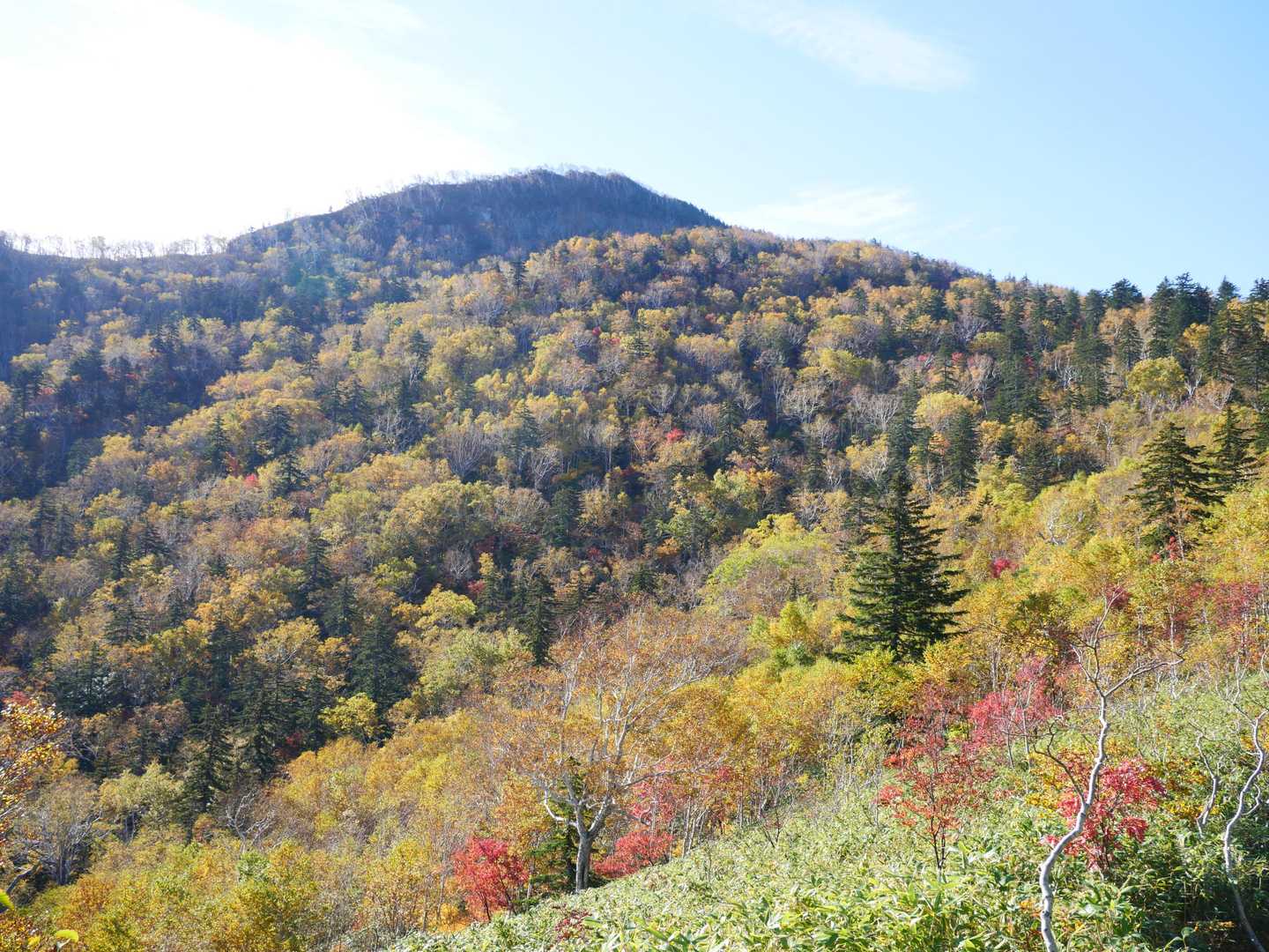 北ノ峰-富良野西岳 往復コースの写真