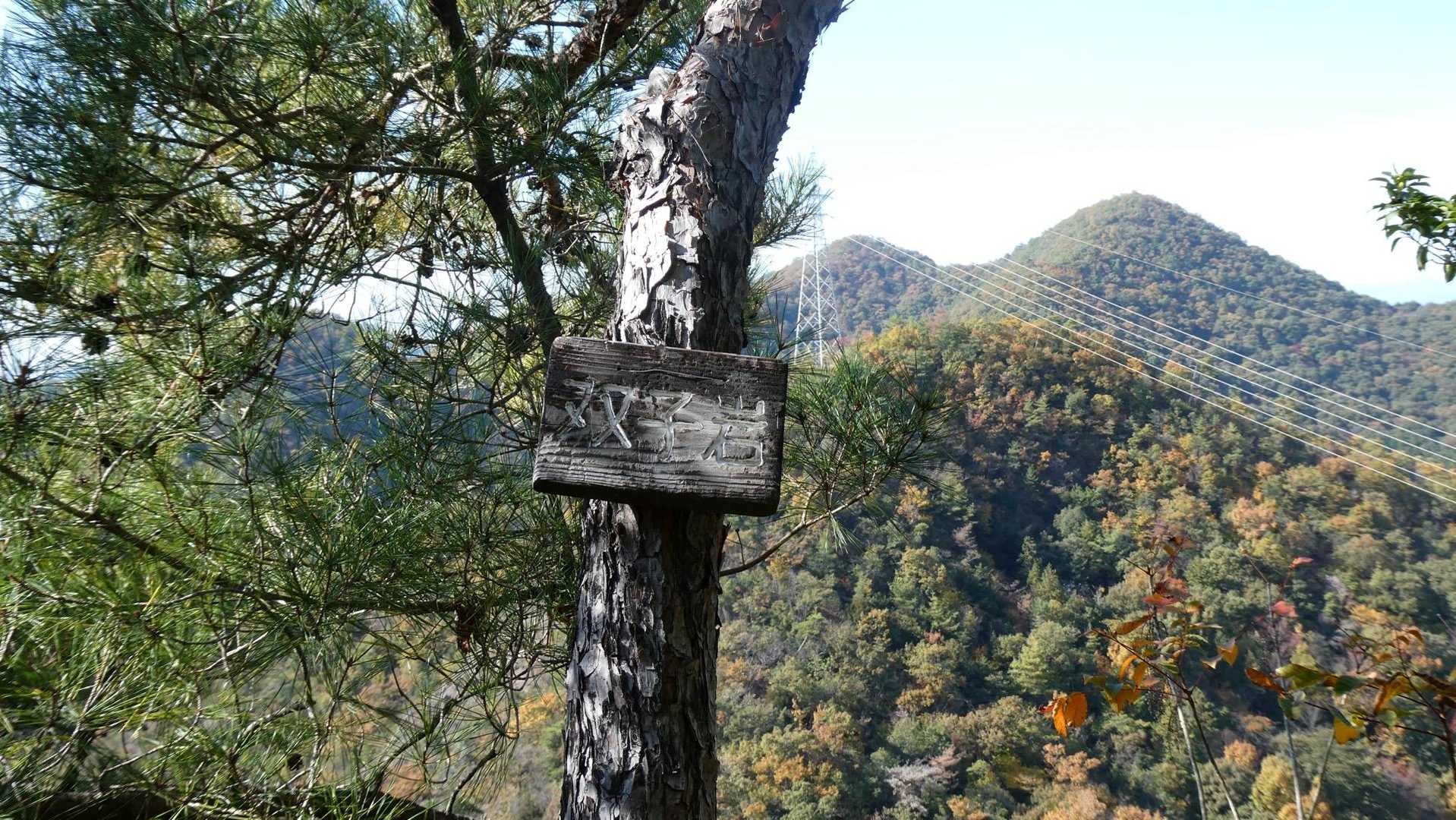 金山-岩坂峠-岩坂山-須衛山-向山 往復コースの写真