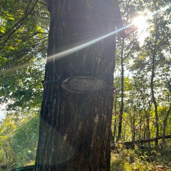 2座目　小倉山