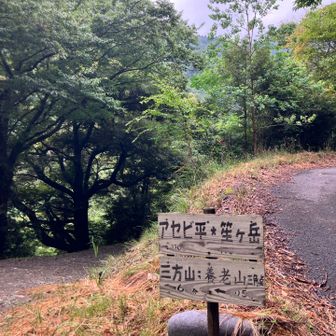 左側へ〜