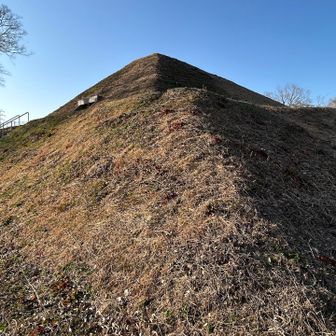 見れば見るほどピラミッドです🎶