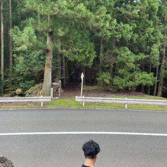 ふたたび山中へ突入します👍