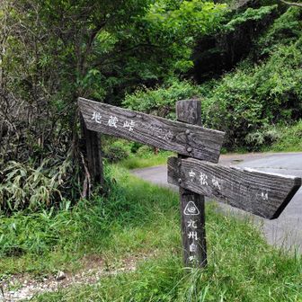 地蔵峠まで〜丸木段の登りで始まりです🪵楽しく歩いてきます🎶