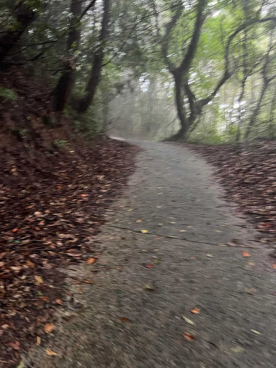 すごい雨☔