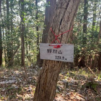 そして、無事に山頂プレートを発見。
眺望は無し。