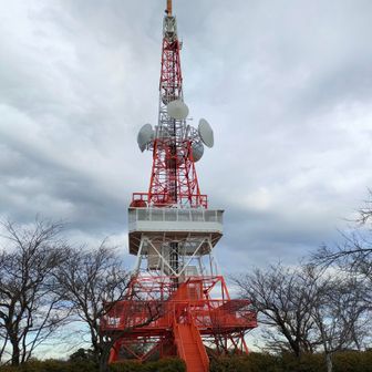 湘南平に戻って来ました。
せっかくだから何十年かぶりにテレビ塔にも登ってみる。