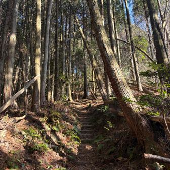 階段が始まります