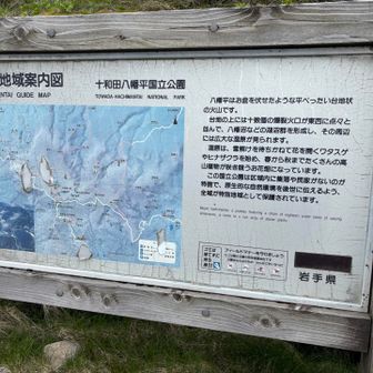 広い