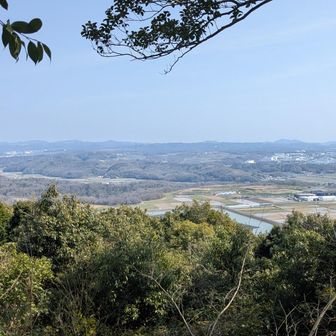 雌岡山からの景色、六甲山系が一望できる