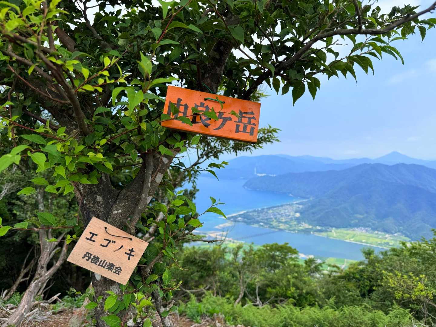 山頂に登頂しました
