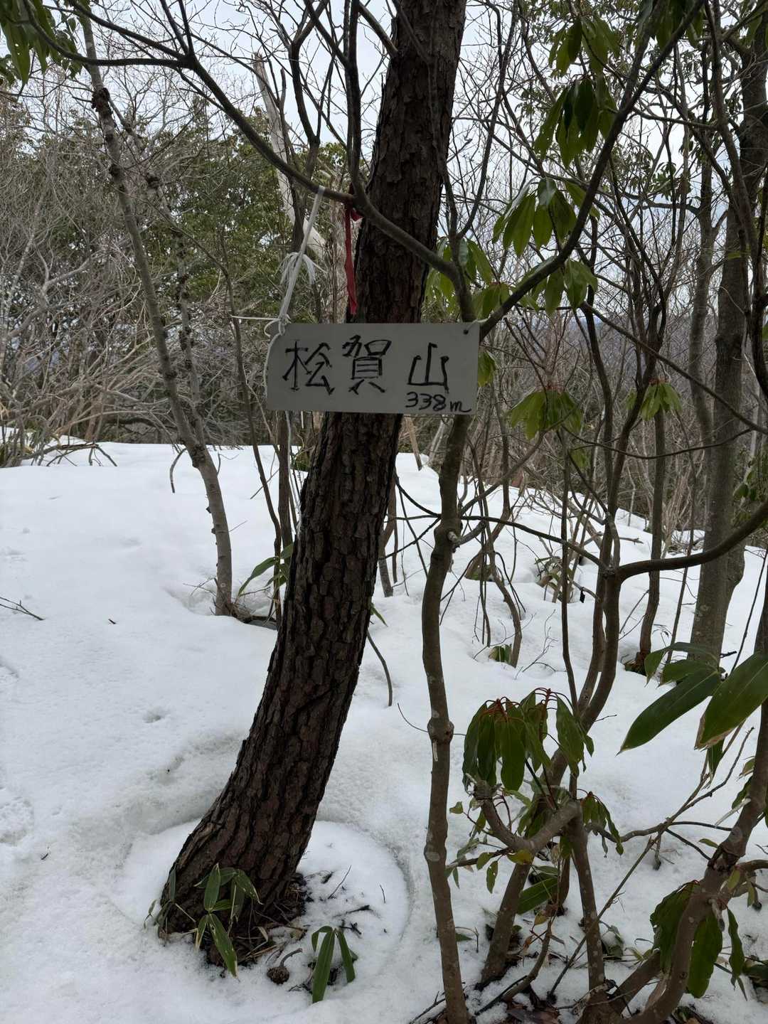 今日3座目になりました😌