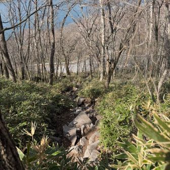 かなり急登からスタート💦
