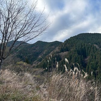 ヤッホーポイント