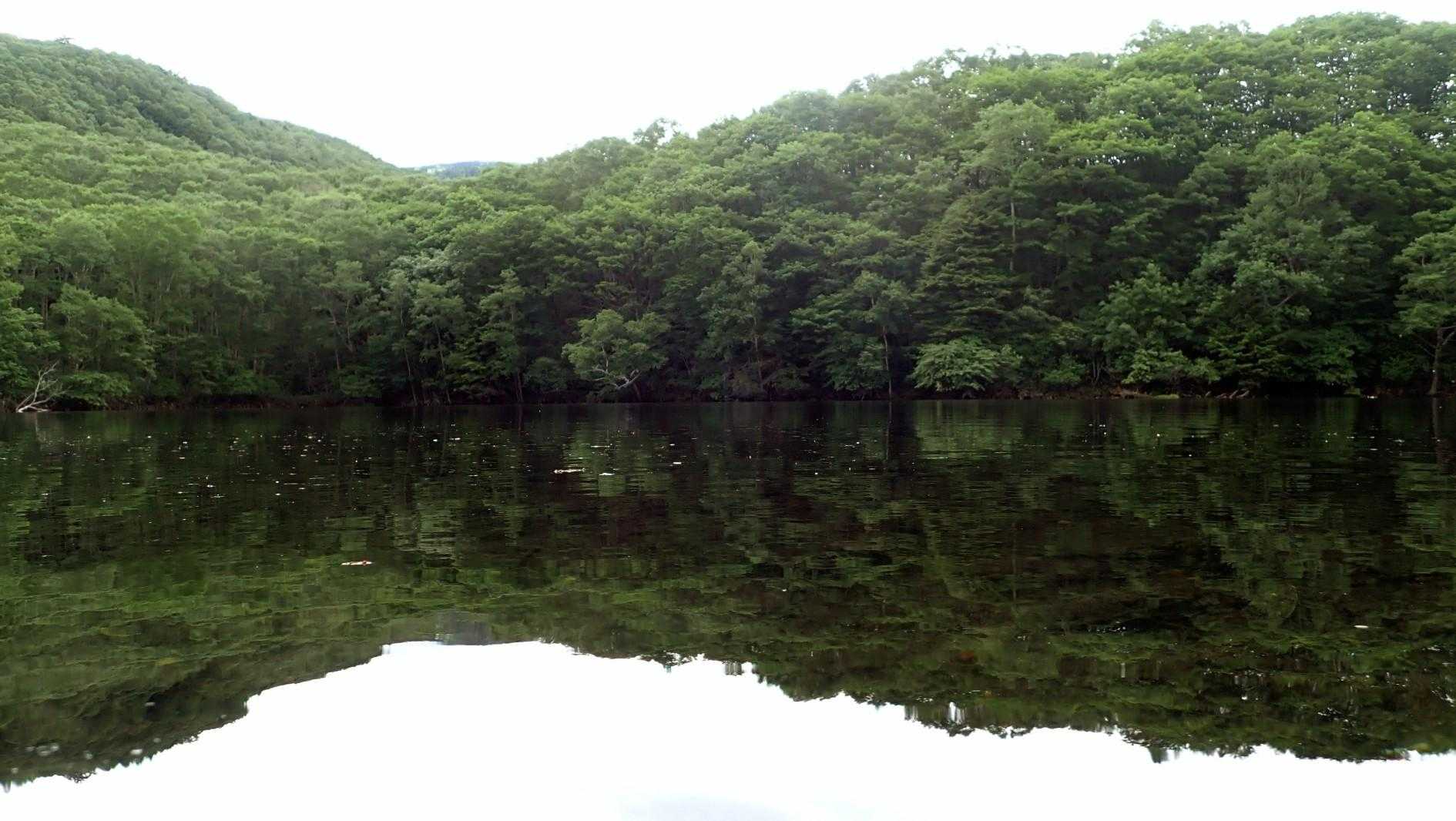 「大池」
水深浅い、大雨降ったらすぐ溢れそう🤣