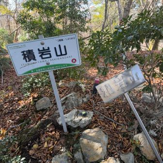 やっと本峰