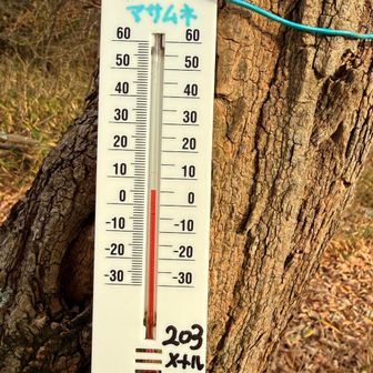 風も出てきて、ちょっと寒い😨