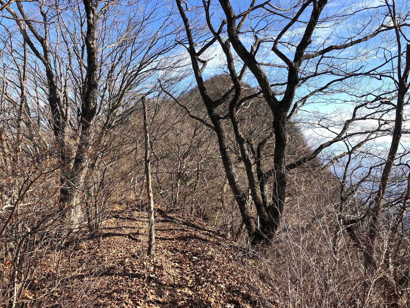 浅間山登山口-浅間山 往復コースの写真