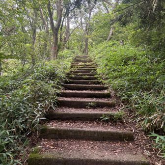 巻きなのに階段ですか…(「春なのに」調で)
結構おなか一杯です