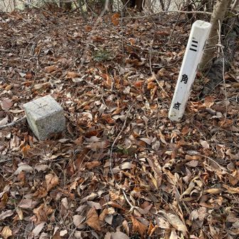 山名版はなかったけど
尾曽後山　グレーピークです