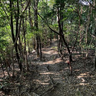 帰り道、ところどころ花崗岩のないところも