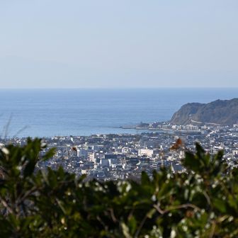 相模湾が良く見える👌