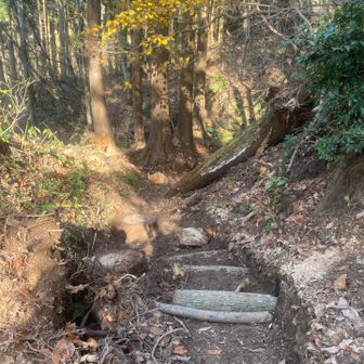 昨日の整備箇所　自画自賛ですがいい感じです♪