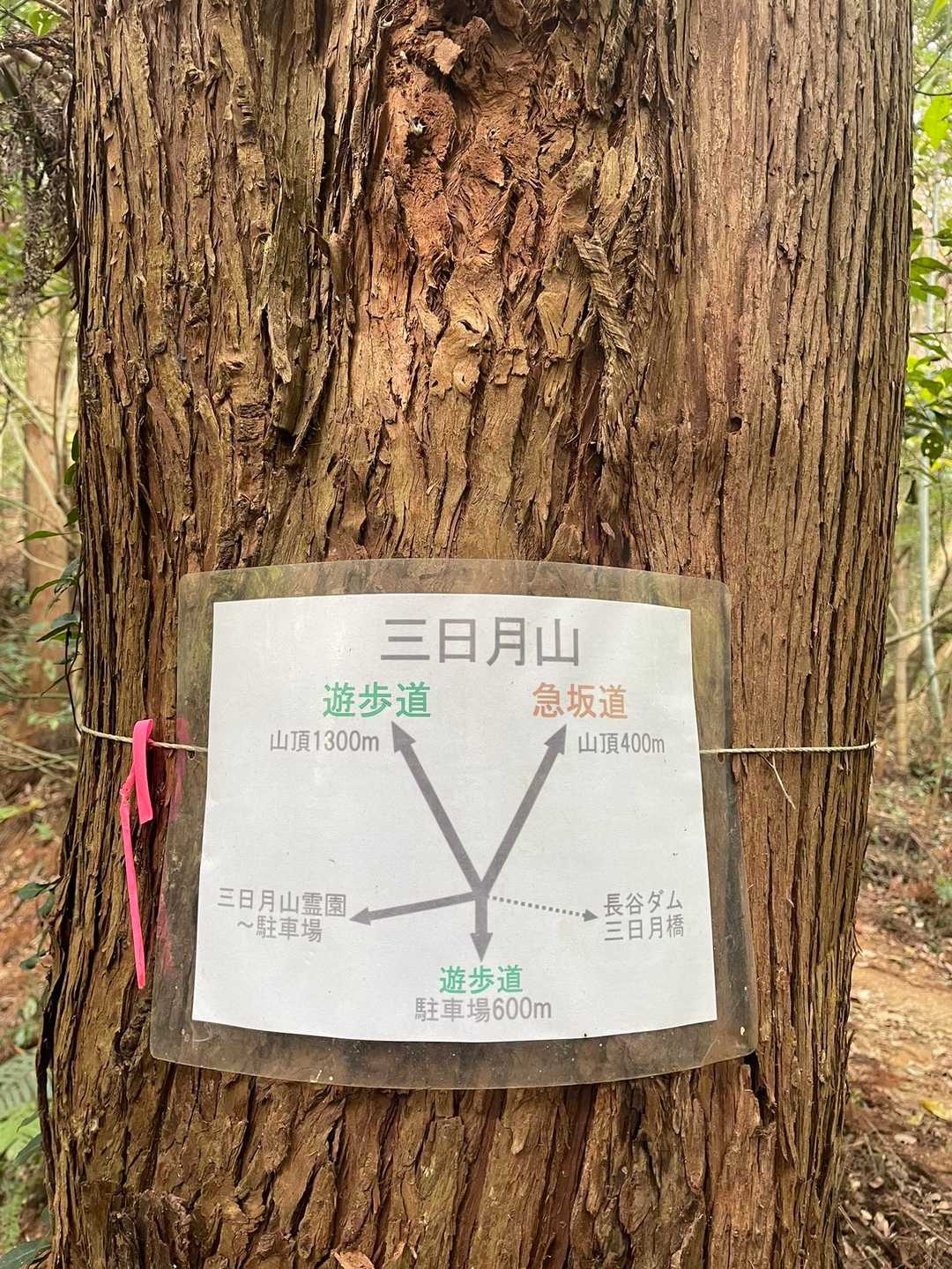 今日は急坂道のほうを登ってみる！
（距離は短いけど、急登疲れた🤣）