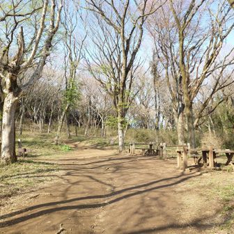 またベンチ発見🪑
ここは小休止やお昼食べたりが気持ち良さそうですね♪