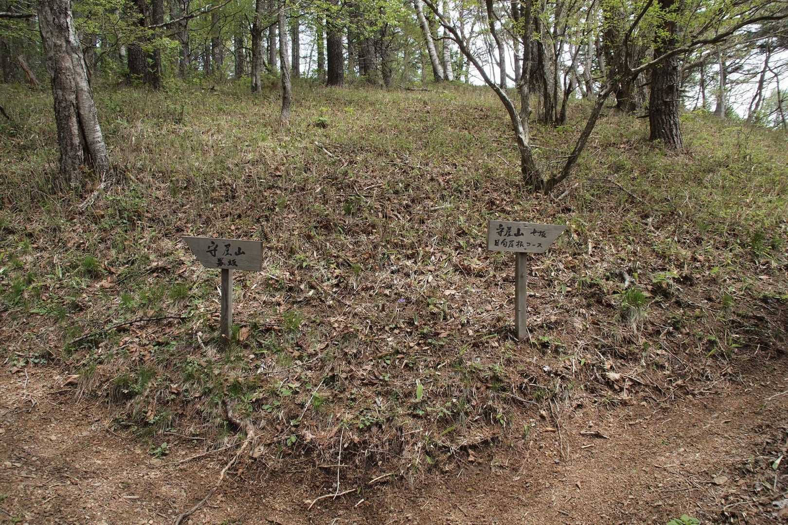 守屋山 往復コースの写真
