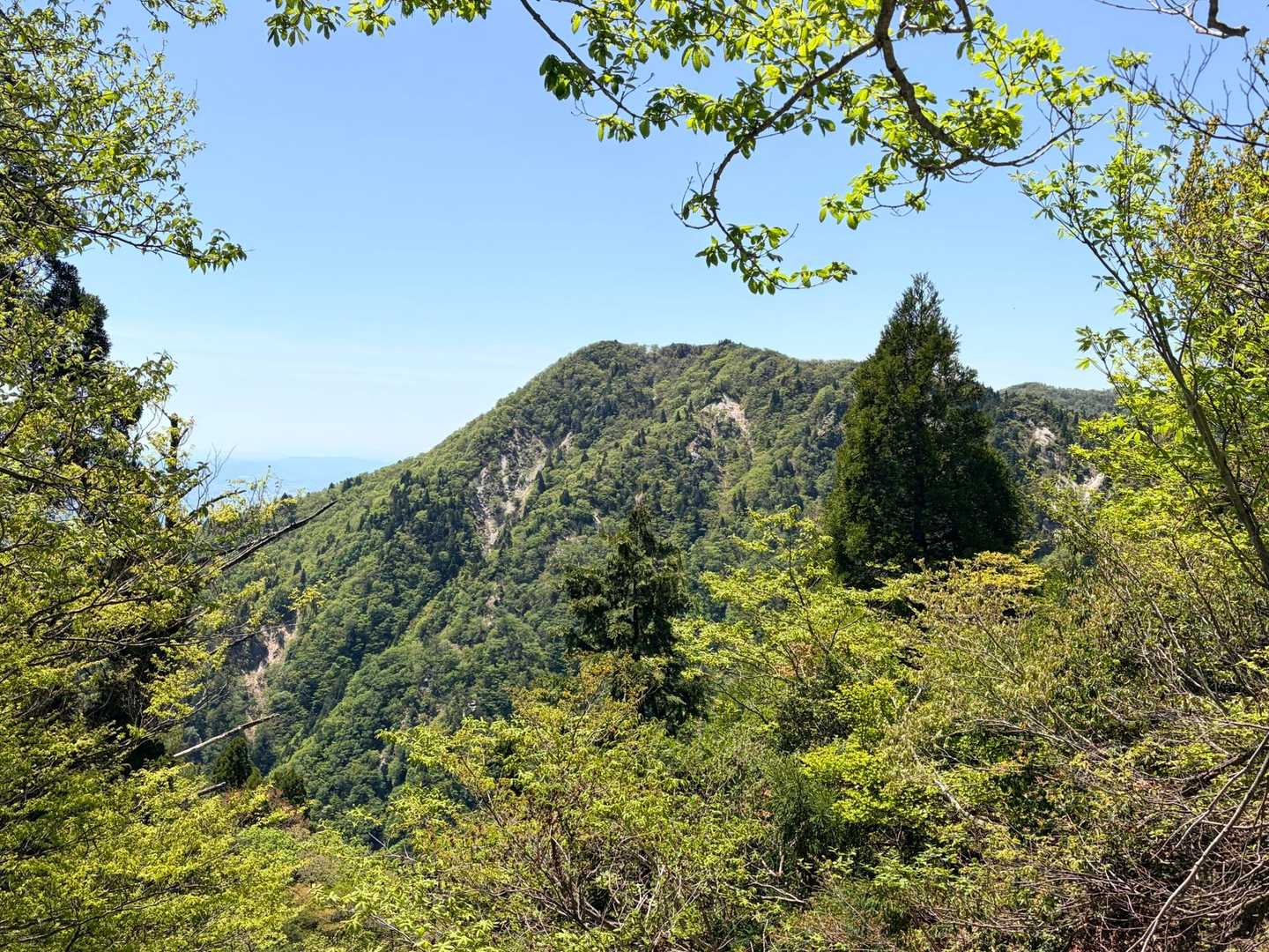 今日の最後は、あの堂満岳。
