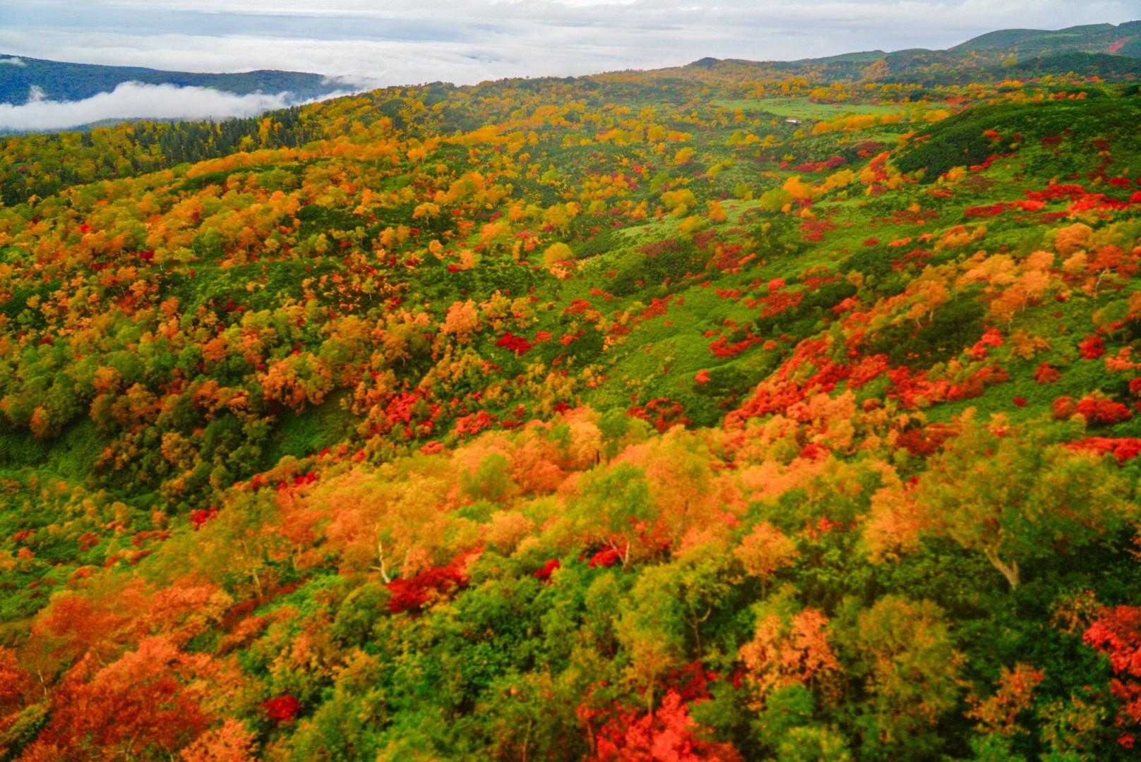 旭岳 往復 | ロープウェイで気軽に楽しむ北海道最高峰の写真