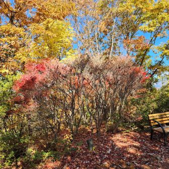 この山でお母さんとこどもの二組にあった以外は誰にも会いませんでした（パーキングエリアにはいましたが）