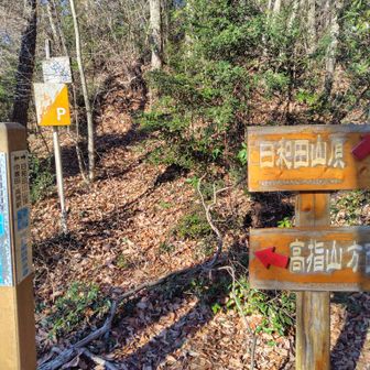 高指山、物見山方面への分岐💡鎌北湖まで奥武蔵自然歩道が続く