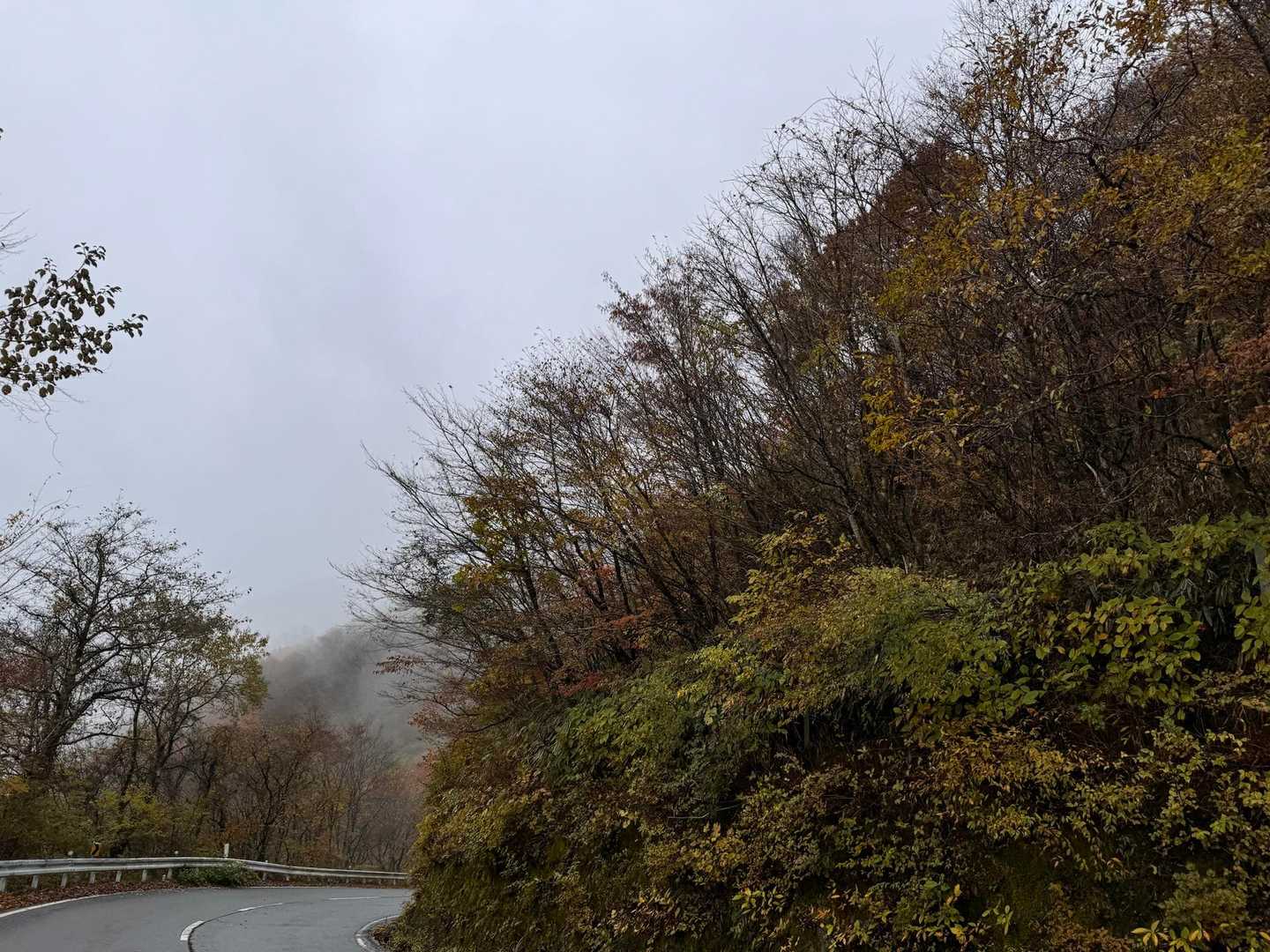 天気悪いし