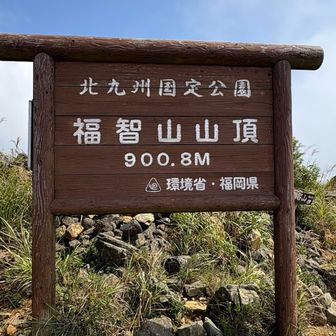 福智山到着🛬
今日は穏やかな天気で嬉しい😃

ここで🍙🌭🥚
