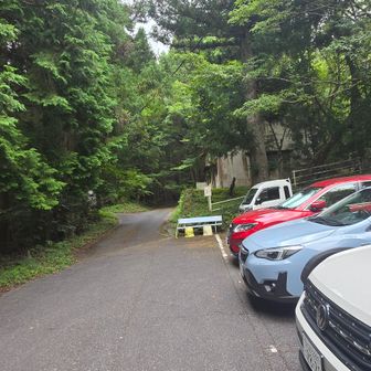 駐車場　こんなに車があるのは珍しい