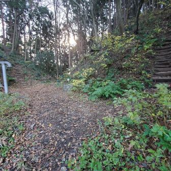 石瀬峠、直ぐ脇に弥彦スカイラインが通ってました。