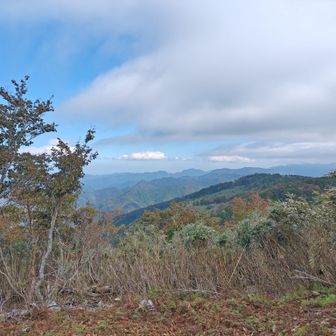 すずのこ平からの眺望