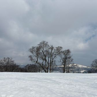 ニセコ方面はもやーんってなってる…