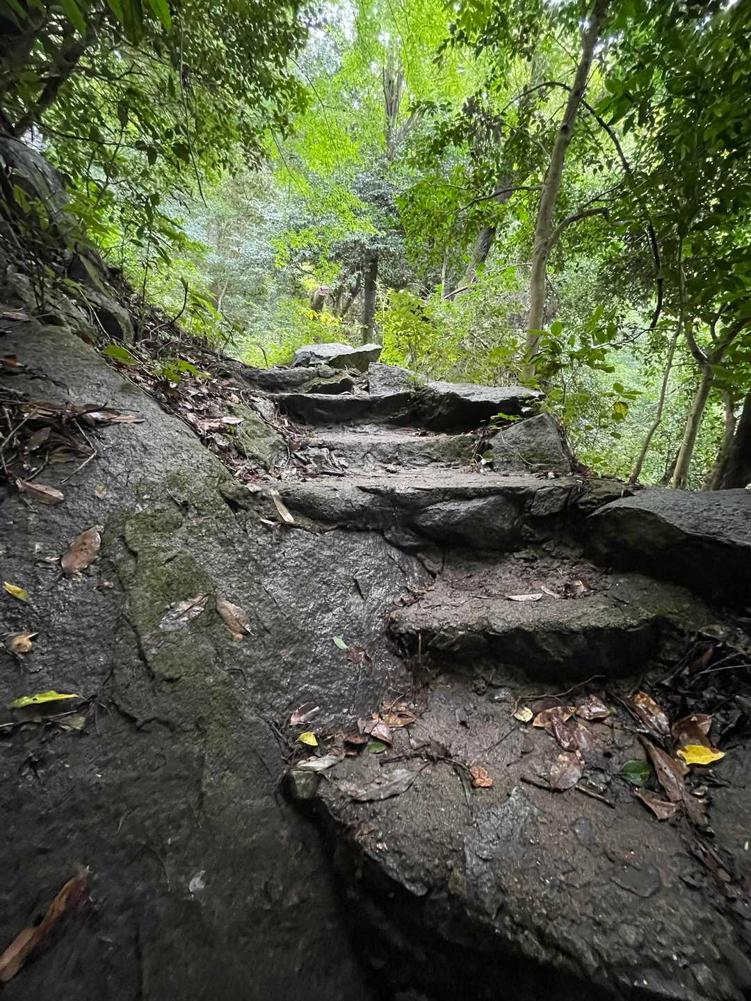 二丈岳 往復 | 沢沿いを涼しく歩き、山頂の巨岩から糸島の絶景を楽しむの写真