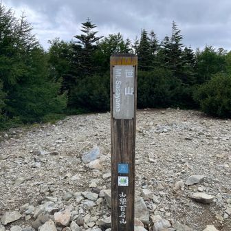 謎の笹山山頂、眺望ナシ！