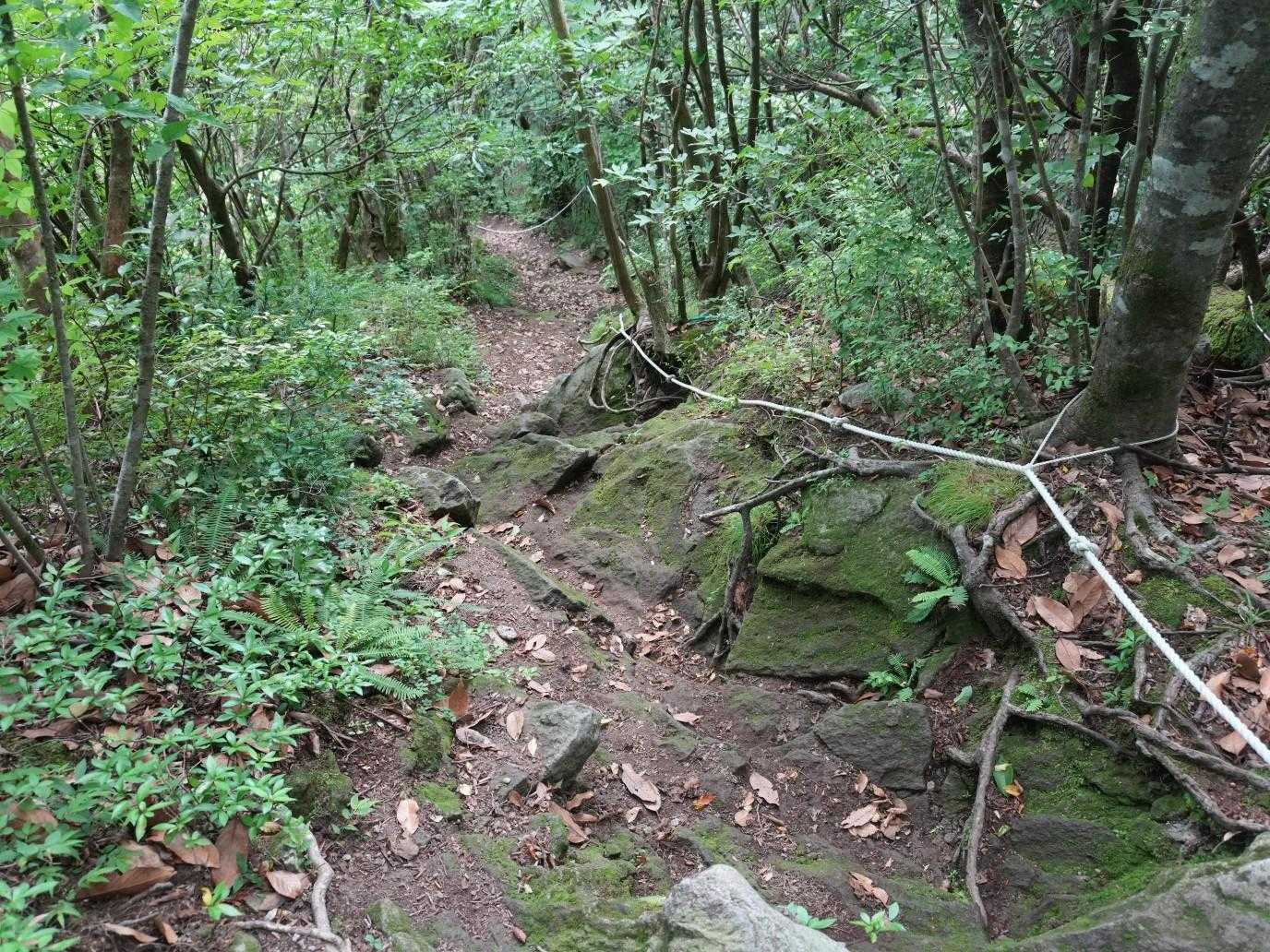 多良岳山頂で景色を堪能し、先へと歩を進めます🚶‍♂️🚶‍♀️